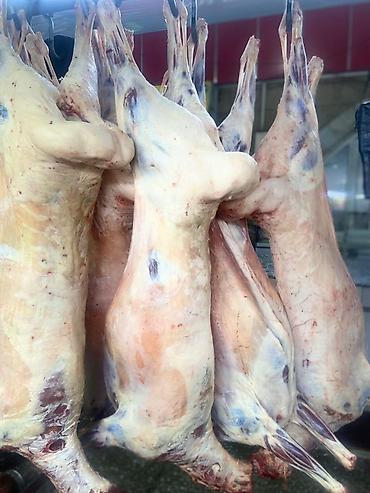 кой сойушка: -КОЗУ КОЗУ КОЗУ КОЗУ -ПРОДАЮ МЯСО БАРАНИНЫ — 2
