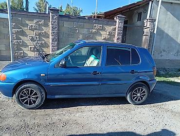 раф волга: Volkswagen Polo: 1999 г., Хэтчбэк — 1