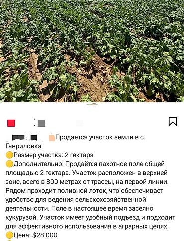 фудбольный поля: 2000 соток, Для сельского хозяйства, Договор дарения — 1