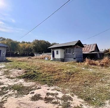 панораме: 6 комнат и более, 265 м², 4 соток, Джал — 8