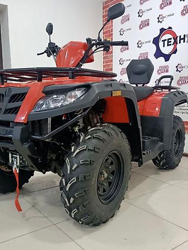 Квадроциклы: Квадроцикл Бензин, 500 куб. см, Взрослый — 5