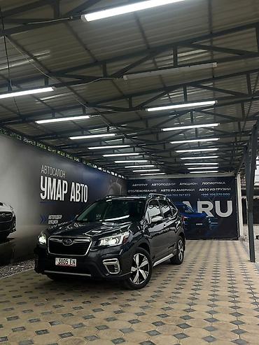 форес: Subaru Forester: 2020 г., 2.5 л, Вариатор, Бензин, Кроссовер — 1