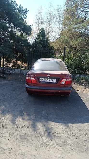 Транспорт: Nissan Almera: 2002 г., 1.5 л, Механика, Бензин, Седан — 2