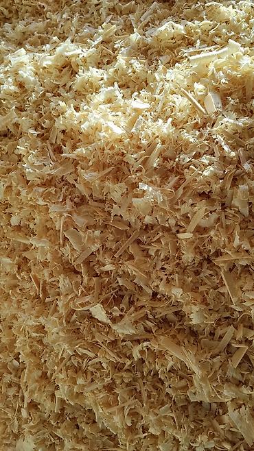 britanskiy kot: Məhsul: Quşçuluq üçün təbii ağac yonqarı (altlıq materialı) Təsvir: - — 7