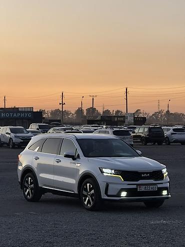 prava srs: Kia Sorento: 2022 г., 2.2 л, Автомат, Дизель, Кроссовер — 6