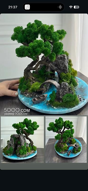 Декоративные цветы: Деревья-бонсай из натурального стабилизированного мха🌳 -это — 104