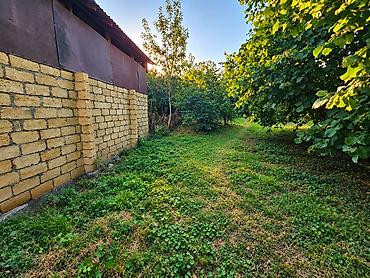 gence emlak satisi: 9 sot, Tikinti, Mülkiyyətçi, Kupça (Çıxarış) — 5