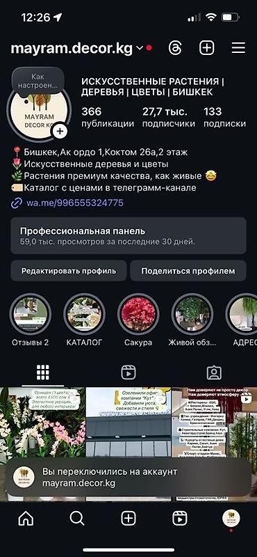 Декоративные цветы: 🌿 Mayram Decor KG — искусственные деревья, цветы и зелёные композиции — 13