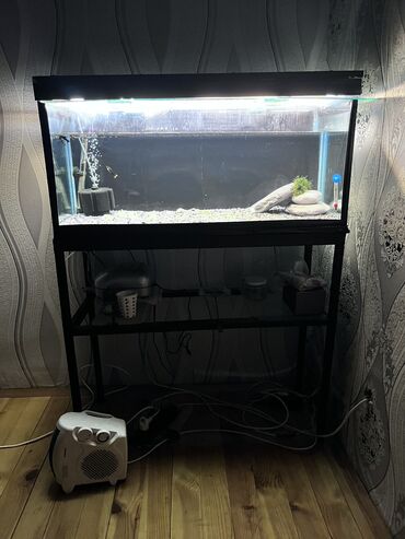 Akvariumlar: Akvarium-şkaf, Balıqlarla birlikdə, 120 l, Ödənişli çatdırılma