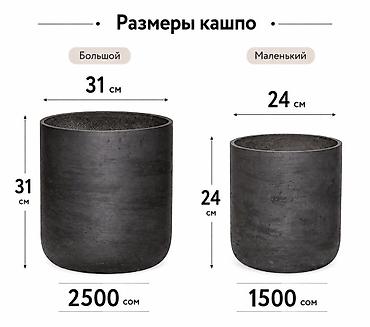 пластиковые горшки: Набор декоративных кашпо для растений, современный минимализм. - — 3