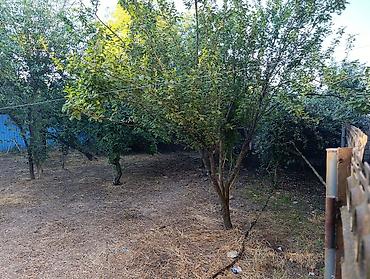 salyanda ev alqi satqisi: 6 otaqlı, 200 kv. m, Kredit yoxdur, Yeni təmirli — 7