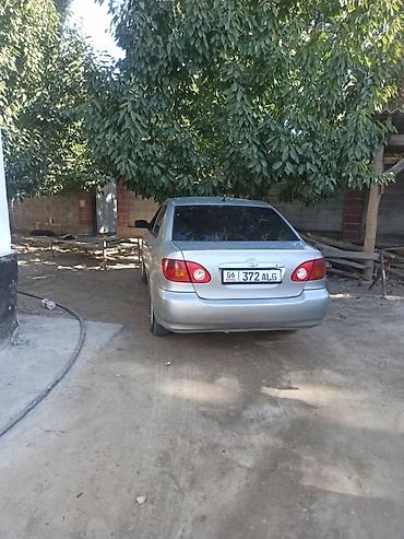 транс: Toyota Corolla: 2003 г., 1.6 л, Автомат, Бензин, Седан — 2