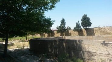 Torpaq sahələrinin satışı: 200 sot, Tikinti, Makler, Kupça (Çıxarış) — 10