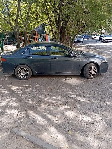 двери аккорд: Honda Accord: 2003 г., 2 л, Автомат, Бензин, Седан — 2