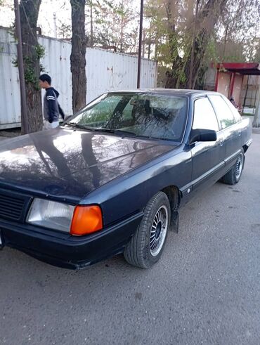 Audi: Audi 100: 1989 г., Механика, Седан — 5