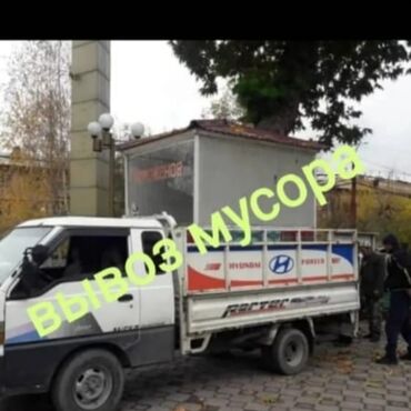 кролик купить декоративный: Вывоза мусора вывоз мусора вывоз мусор Вывозаз мусора вывоз мусора