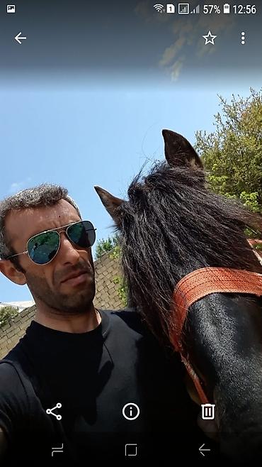 sabuncu iş: Salam herkese gununuz ugurlu olsun.kim istese at surmey oyredirem — 2