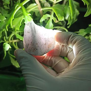 Dekorativ daşlar: Təbii Parlaq Kvars Daşları Satılır – Süd, Duman və Çəhrayı Kvars | — 9