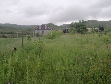 Torpaq sahələrinin satışı: 35 sot, Kupça (Çıxarış) — 13