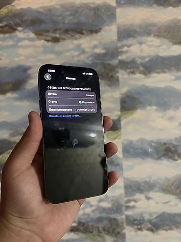мини камера ош: IPhone 13 Pro, Б/у, 128 ГБ, Графит, Чехол — 3