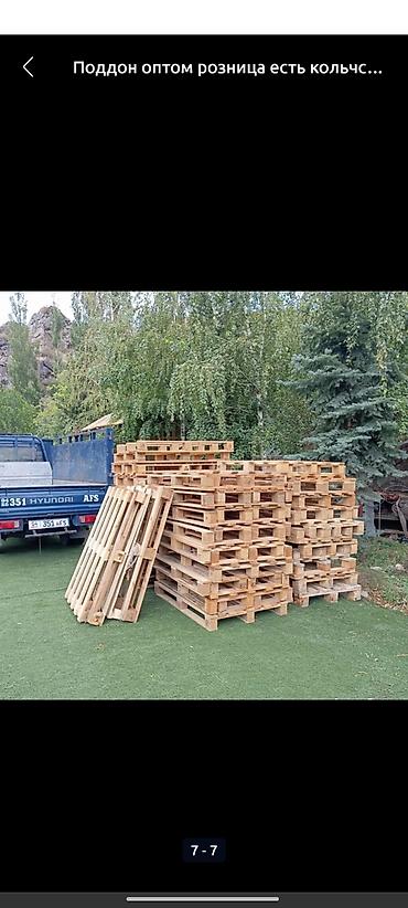 каракол скупка: Поддон Полет оптом розницу есть количество — 8