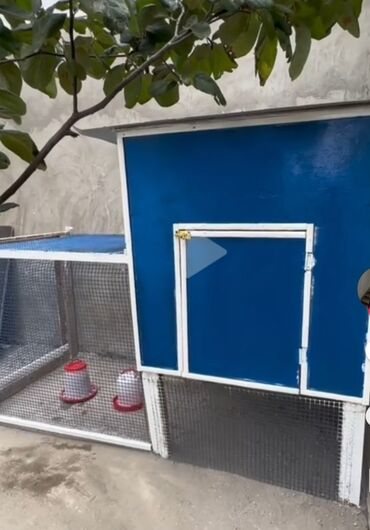 Yuvalar: Taxta it evi – əl işi - Material: tam ağac (lövhə), möhkəm karkaslı — 5