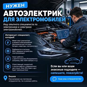 требуется грузшик: Требуется автоэлектрик для электромобилей ПРОВОДИМ ОБУЧЕНИЕ! НОВОЕ — 1