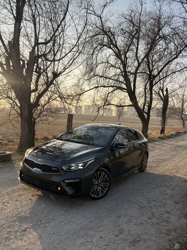 Kia: Kia K3: 2019 г., 1.6 л, Робот, Бензин, Универсал — 3