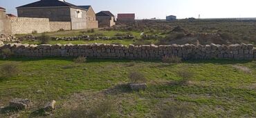 sumqayıt kirayə: 2sot şəxsi özümə aiddir binədə sənəti var təcili satılır