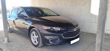 автомобили машина: Chevrolet Malibu: 2018 г., 1.5 л, Автомат, Бензин, Седан