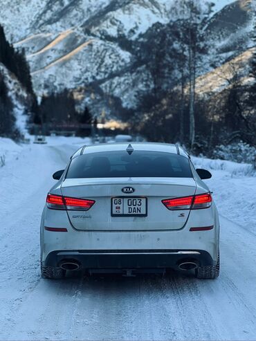 4 корпусный плуг: Kia Optima: 2018 г., 2.4 л, Типтроник, Бензин, Седан