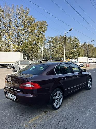 лупарик капот: Skoda Superb: 2010 г., 1.8 л, Автомат, Бензин, Седан — 4
