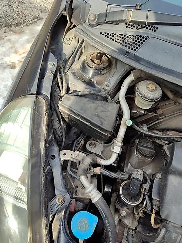 Honda: Honda Fit: 2005 г., 1.3 л, Вариатор, Бензин, Хэтчбэк — 5