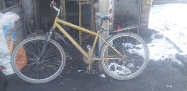 веласипет: Тез арада велосипед сатылат абалы ото жакшы чириги жок окончательно