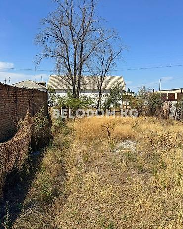 Продажа домов: 🏠Продается дом в с. Беловодское 🟡Дом саманный 🟡 2 - жилых комнат + — 3