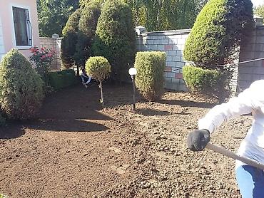 Другие услуги: Мы занимаемся созданием газонов на придомовой территории. Этот процесс — 6