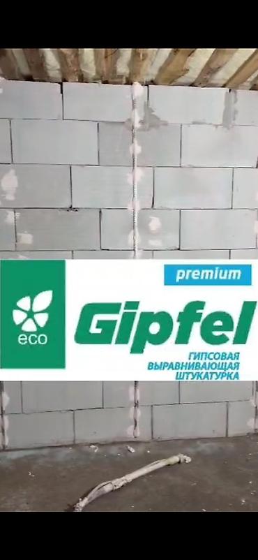 Майшыбак Гипстик, Кургак