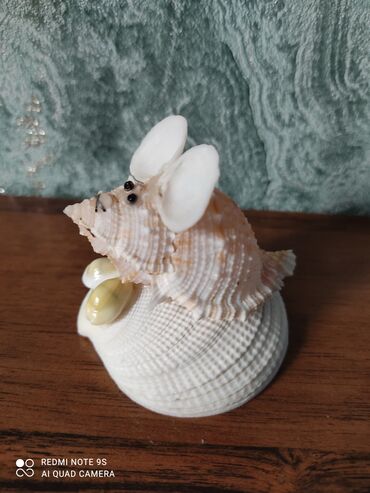 Аквариумы: Водоросли живые: Анубиас Бартера нана ( цветёт белыми и розовыми — 10