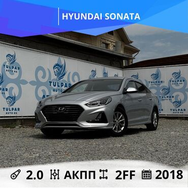 купить машину шевроле: Hyundai Sonata: 2019 г., 2 л, Автоматические, Газ, Седан