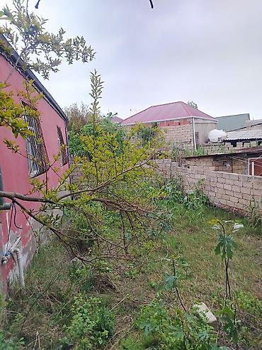 Həyət evləri və villaların satışı: 1 mərtəbəli həyət evi - Plan: Eyvanlı giriş, 1 mərtəbə, 4 otaqlı 3 — 6