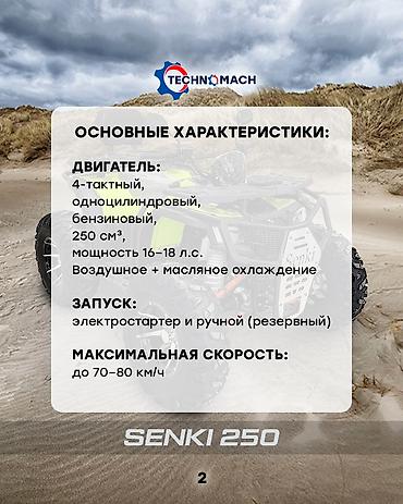 Квадроциклы: Квадроцикл Бензин, 250 куб. см, Взрослый — 2