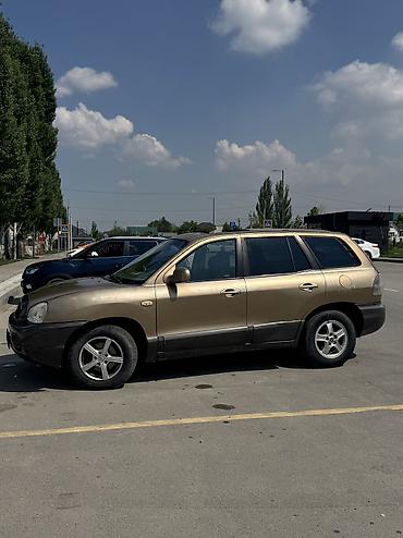 Hyundai: Hyundai Santa Fe: 2003 г., 2.7 л, Автомат, Газ, Внедорожник — 3