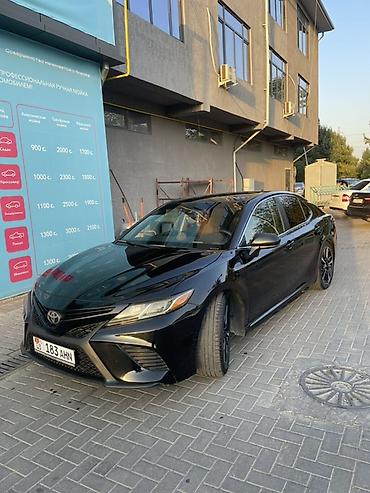 rav 4 2018: Toyota Camry: 2019 г., 2.5 л, Автомат, Бензин, Седан — 2