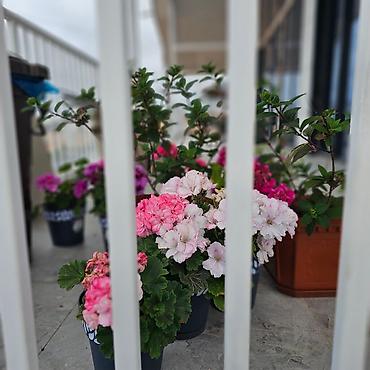 Долгосрочная аренда домов: 240 м², 6 комнат, Утепленный, Теплый пол, Видеонаблюдение — 68