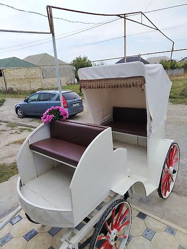 isləmis kombi: Klassik at arabası – dekorativ və gəzinti üçün - Rəng: ağ gövdə — 2