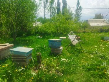 Продажа домов: Барачный, 93 м², 6 комнат, Собственник — 20