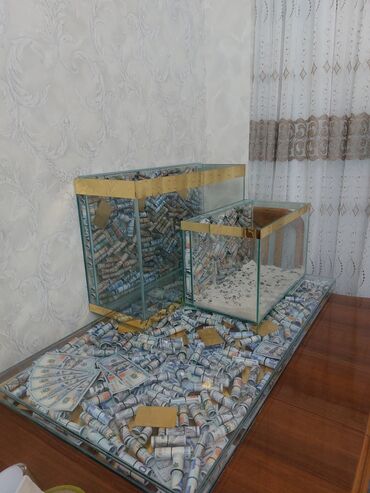 Akvariumlar: Dolar Akvaryum. 22 litir 40 man 35 litir. 60 man 80 litir 90 man Bu — 12