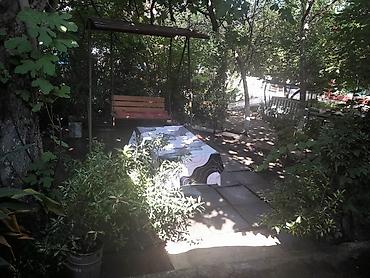 Günlük kirayə mənzillər: 5 otaqlı — 17