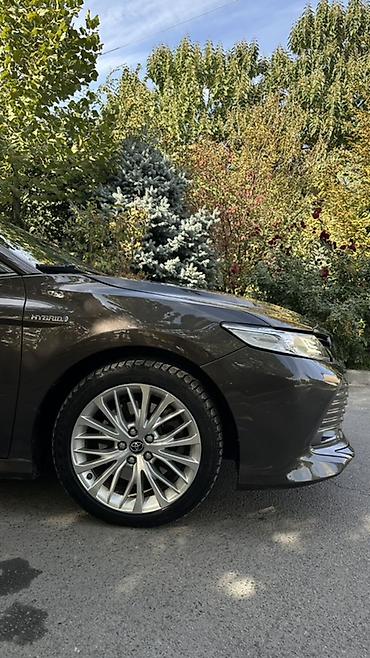 тайота в: Toyota Camry: 2019 г., 2.5 л, Автомат, Гибрид, Седан — 2