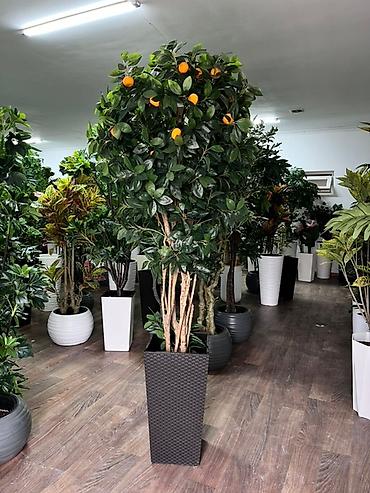 Декоративные цветы: 🌿 Mayram Decor KG — искусственные деревья, цветы и зелёные композиции — 9